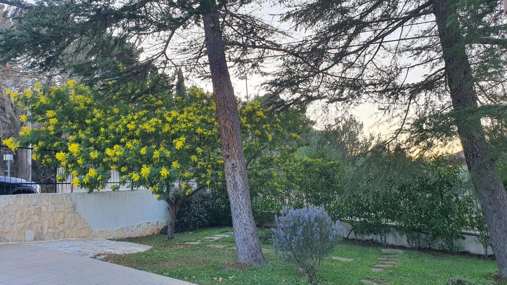 Mercadante - Luxury Holiday House Cassano delle Murge Εξωτερικό φωτογραφία