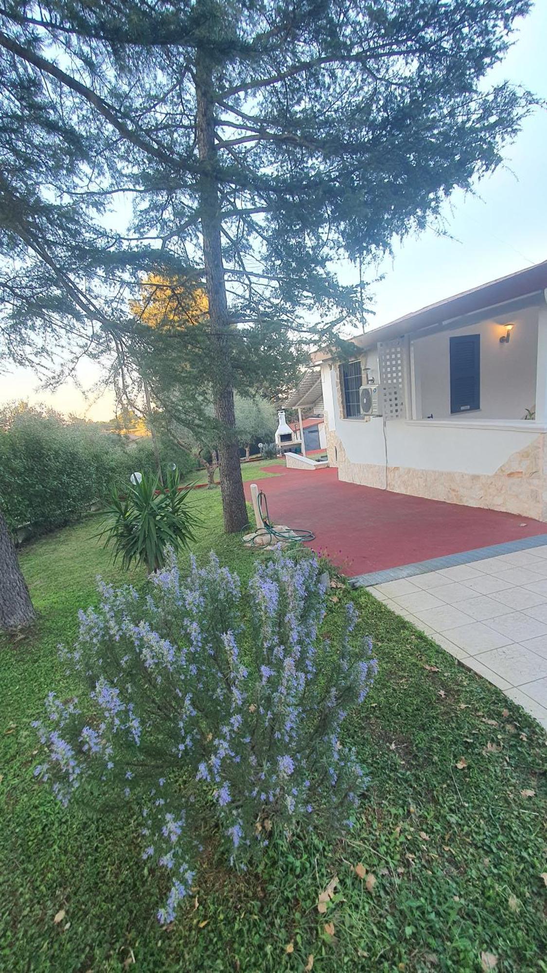 Mercadante - Luxury Holiday House Cassano delle Murge Εξωτερικό φωτογραφία