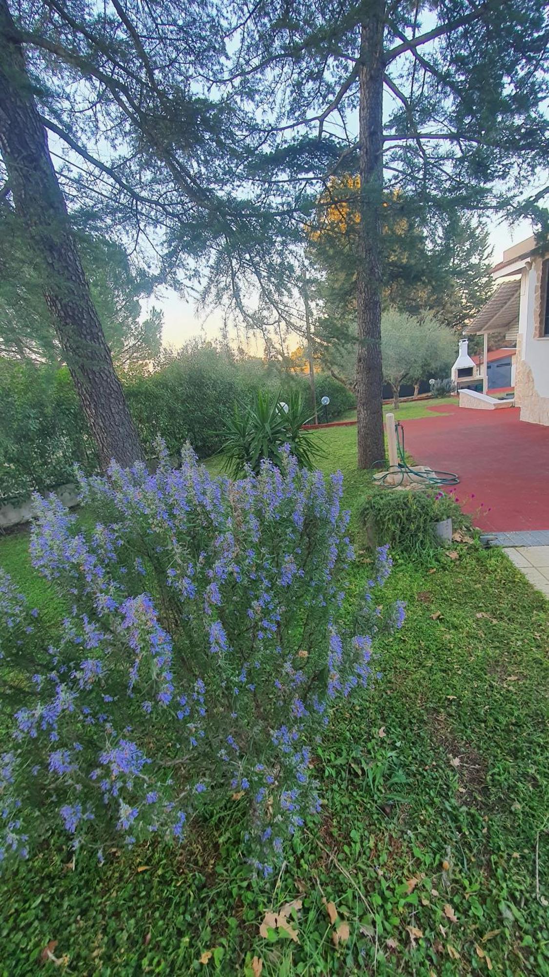 Mercadante - Luxury Holiday House Cassano delle Murge Εξωτερικό φωτογραφία